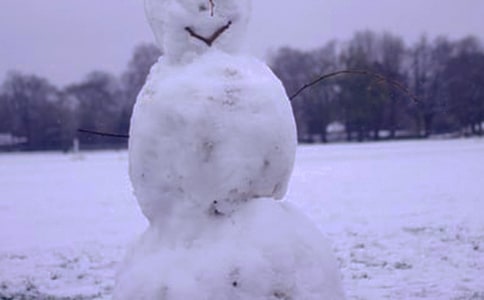 那年冬天的雪作文300字