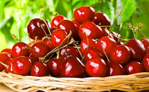 我家的樱桃花作文(精选25篇)