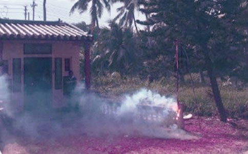 放炮竹叙事作文