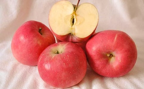 柳树与苹果树作文400字