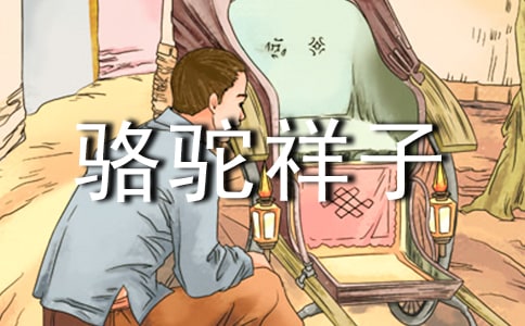 初一作文《骆驼祥子》读书心得