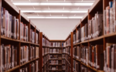 学校要不要组织学生春游高考英语满分作文