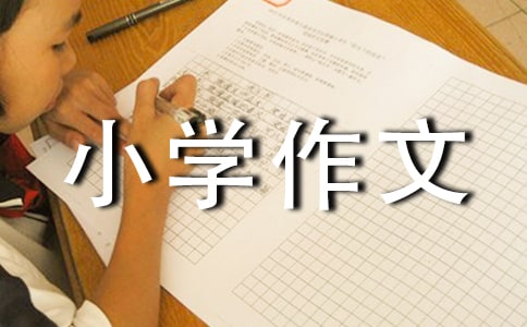海滨城市大连小学作文450字