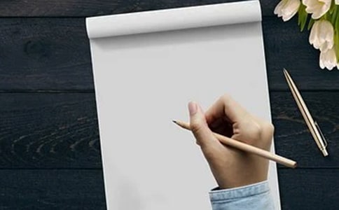 我是圣文园里的一棵树六年级作文