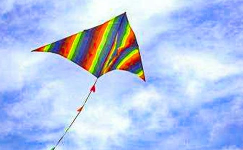 第一次放风筝小学作文350字