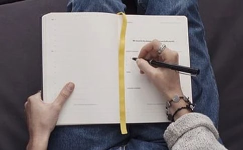 树和叶的启示优秀作文