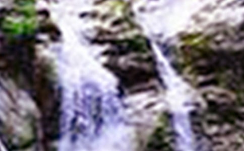 游黄果树瀑布公园初中作文