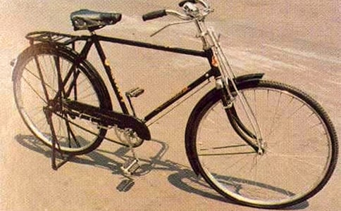 体验环保自行车450字作文