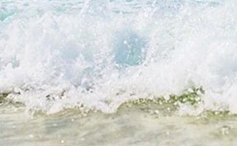 多彩的夏天二年级作文