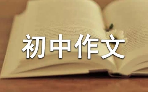 第一次织毛衣初中作文500字（通用10篇）
