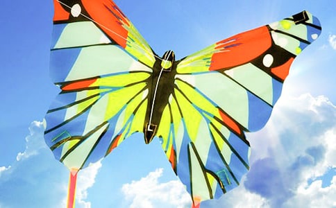 理想的风筝作文15篇