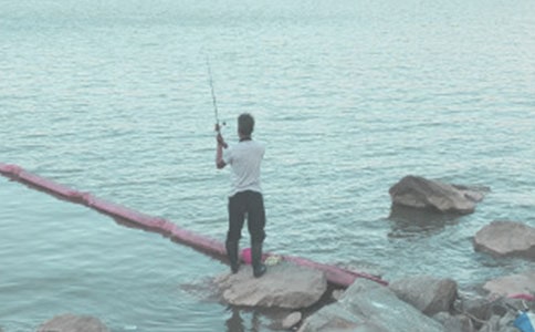 暑假趣事钓鱼作文3篇