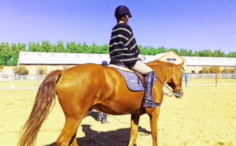 【精选】骑马的作文十篇