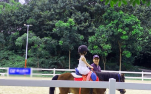 【精华】第一次骑马作文4篇