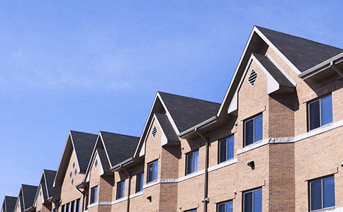 小白兔的萝卜房子作文范文