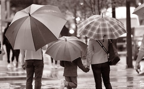 对爸爸妈妈说我爱你作文