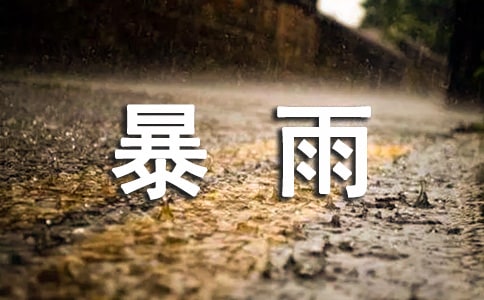狂风暴雨也可以这样美作文