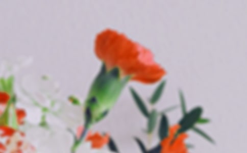 花朵的微笑的作文