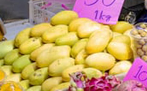 芒果树小学作文