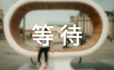 真情等待的作文