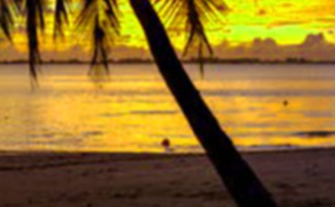 假期趣事作文(汇编15篇)