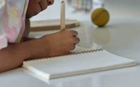 第一次见到你优秀作文