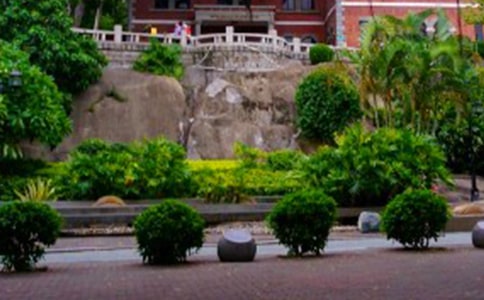 游厦门鼓浪屿的作文