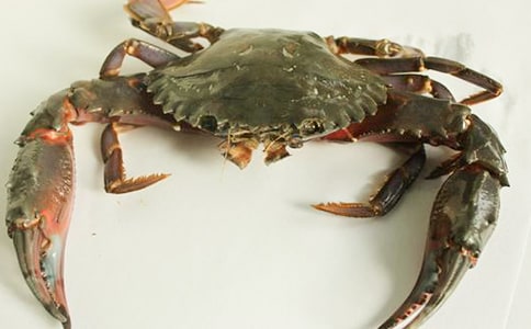 第一次抓螃蟹作文