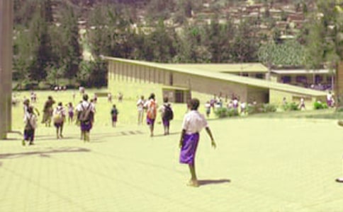 地下长龙变化小学生作文400字