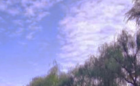 我爱乡村的景色作文