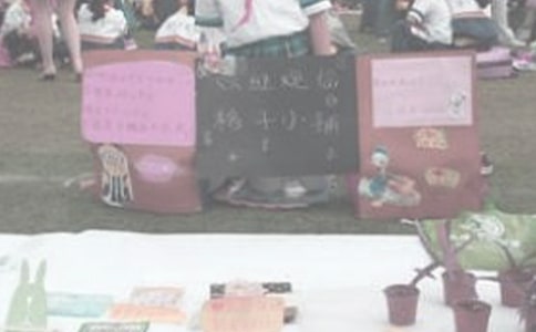 义卖成功啦作文