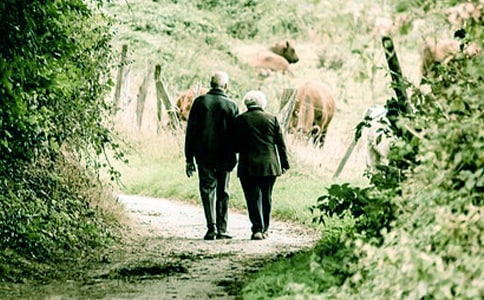 爷爷的梦想实现了作文