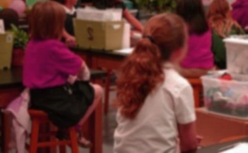 美丽的厦门小学生叙事作文