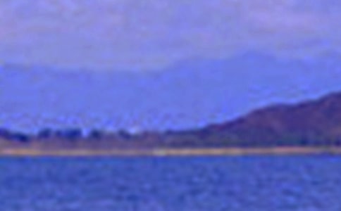 绿树遮不住毕竟景色去优秀作文