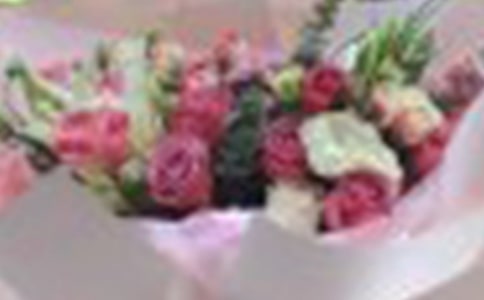 玫瑰花的过去作文600字