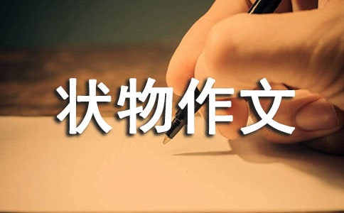 梧桐树状物作文