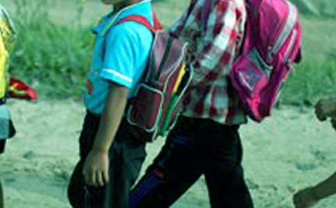 环保从你我做起小学生作文