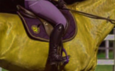 我学会了骑马作文