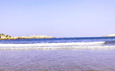 我爱大海小学四年级优秀作文