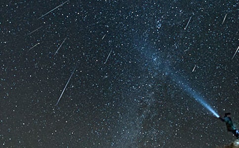 做“流星”,还是做“树根”作文