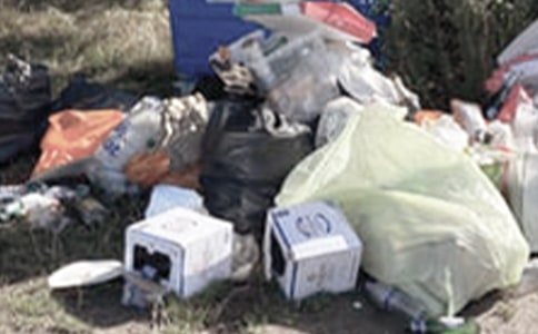 倒垃圾叙事作文700字