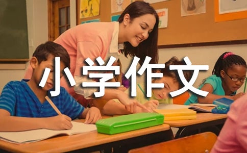搜山寻宝小学作文（通用10篇）