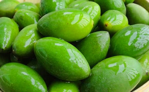 心中的橄榄树状物作文