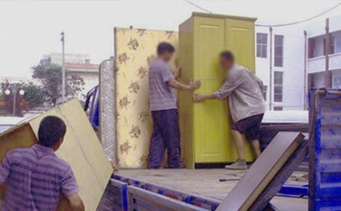 蚂蚁为什么搬家作文