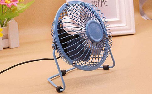 一棵电风扇树作文