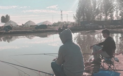 小狐狸钓鱼作文