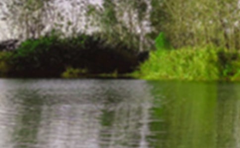 关于大连的景色作文3篇