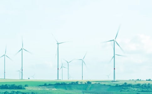 一抹春风,一个微笑作文