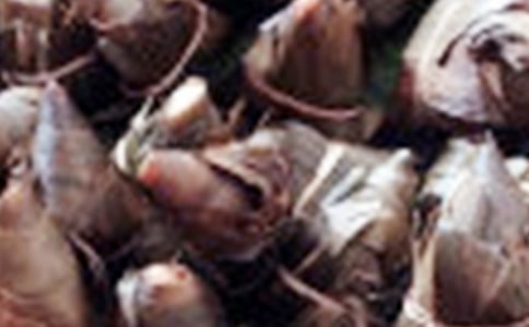 吃粽子叙事作文（通用30篇）