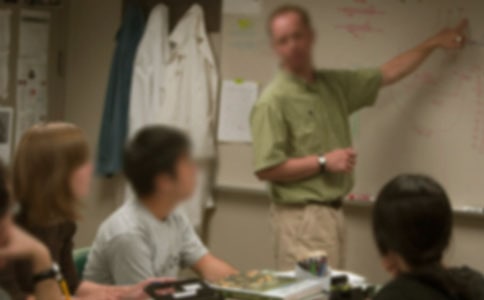 老师的手叙事作文